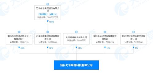 萬(wàn)華化學(xué)進(jìn)軍新能源領(lǐng)域 煙臺(tái)投資2億元設(shè)立電源科技公司，賦能數(shù)字文創(chuàng)內(nèi)容應(yīng)用服務(wù)
